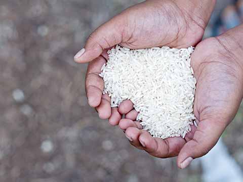 hands-cupping-white-rice